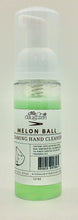 Foaming Hand Cleanser