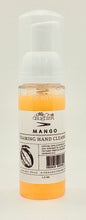 Foaming Hand Cleanser